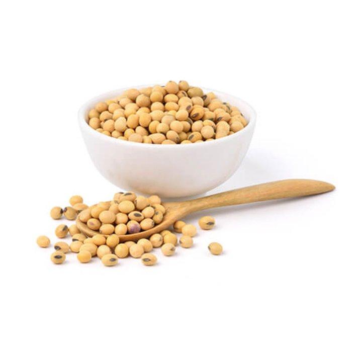 Soyabean Seeds