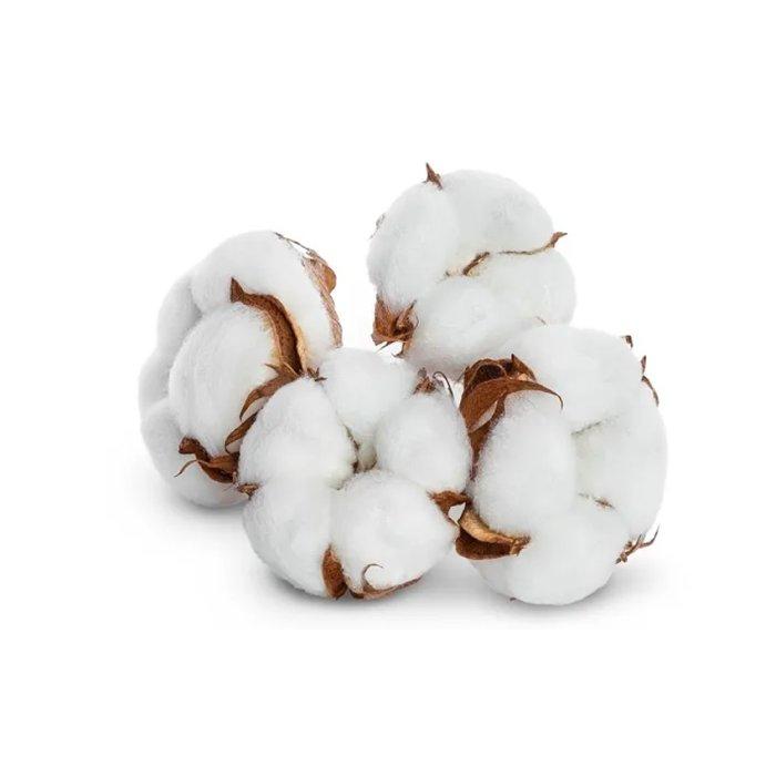 Cotton