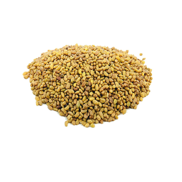 Alfalfa Seed PJ Agro Seeds