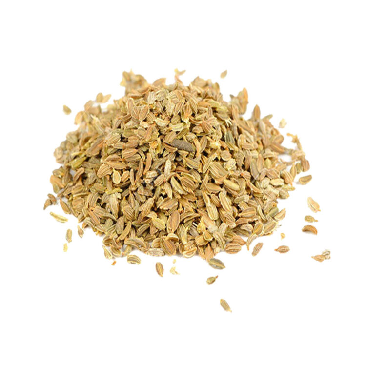 CARROT SEEDS PJ Agro Seeds